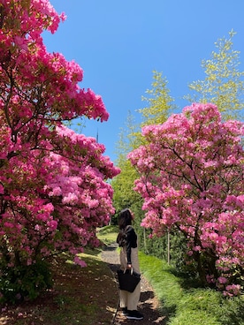 「INGEBORG（インゲボルグ）のアイテム」を使った、adahyanさん（レディース・159cm）の春コーディネート