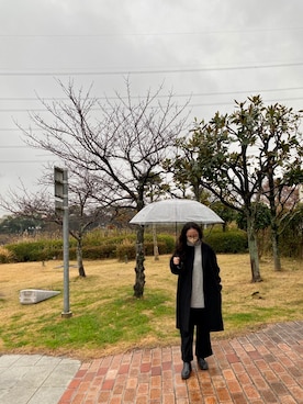 「ADORE（アドーア）のアイテム」を使った、adahyanさん（レディース・159cm）の冬コーディネート