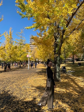 「ADORE（アドーア）のアイテム」を使った、adahyanさん（レディース・159cm）の秋コーディネート