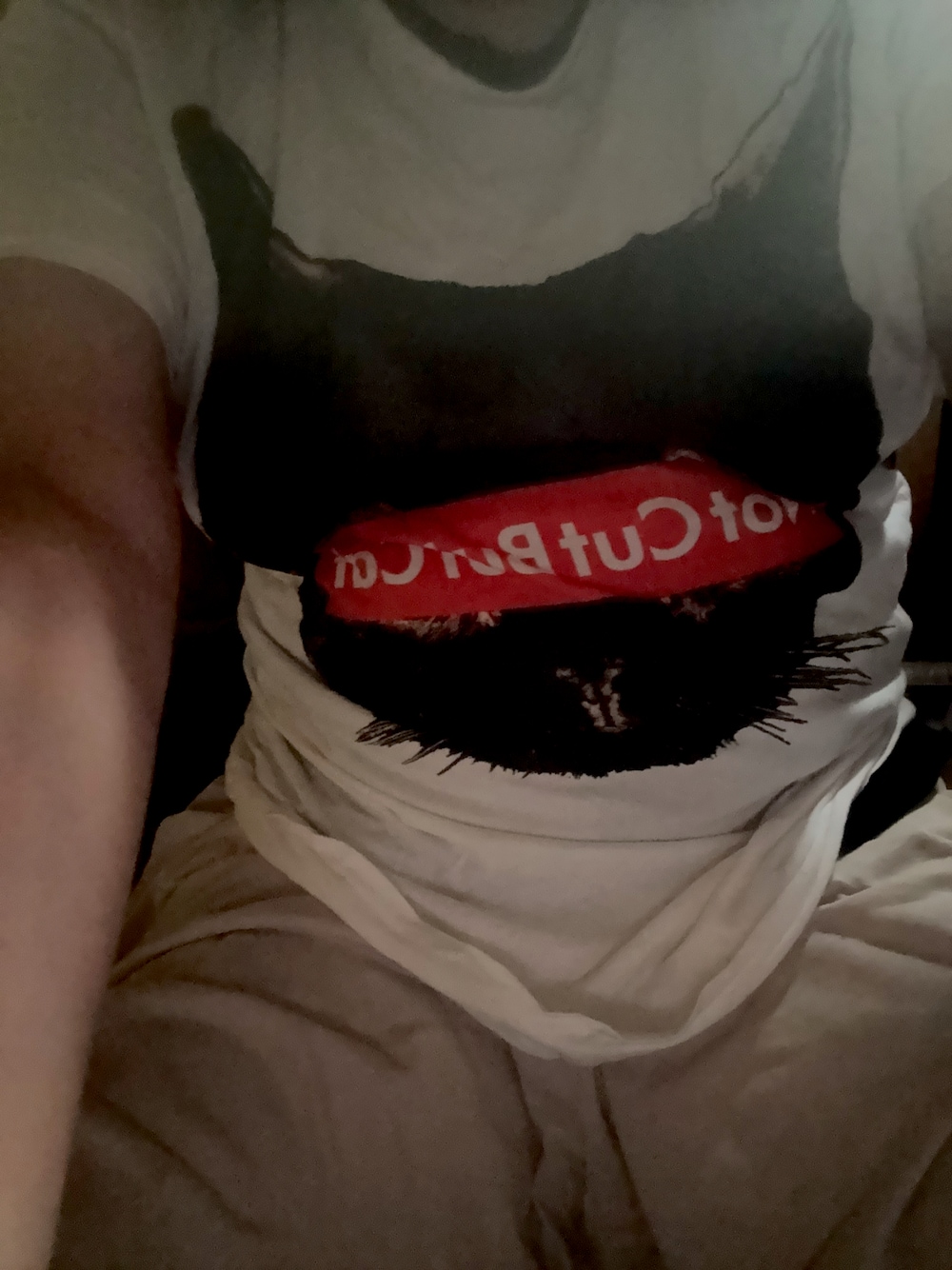 「夏ルックで気分アップ、有村竜太朗、ライブTシャツ、ネコTシャツ」｜「有村竜太朗さんのバンドTシャツのアイテム（Tシャツ/カットソー、ホワイト系）」を使った、ൠ 𝐒𝐀𝐘𝐀𝐊𝐀..̯ ᵕ̈さん（骨格ナチュラル・レディース・169cm）の夏コーディネートの1枚目の写真