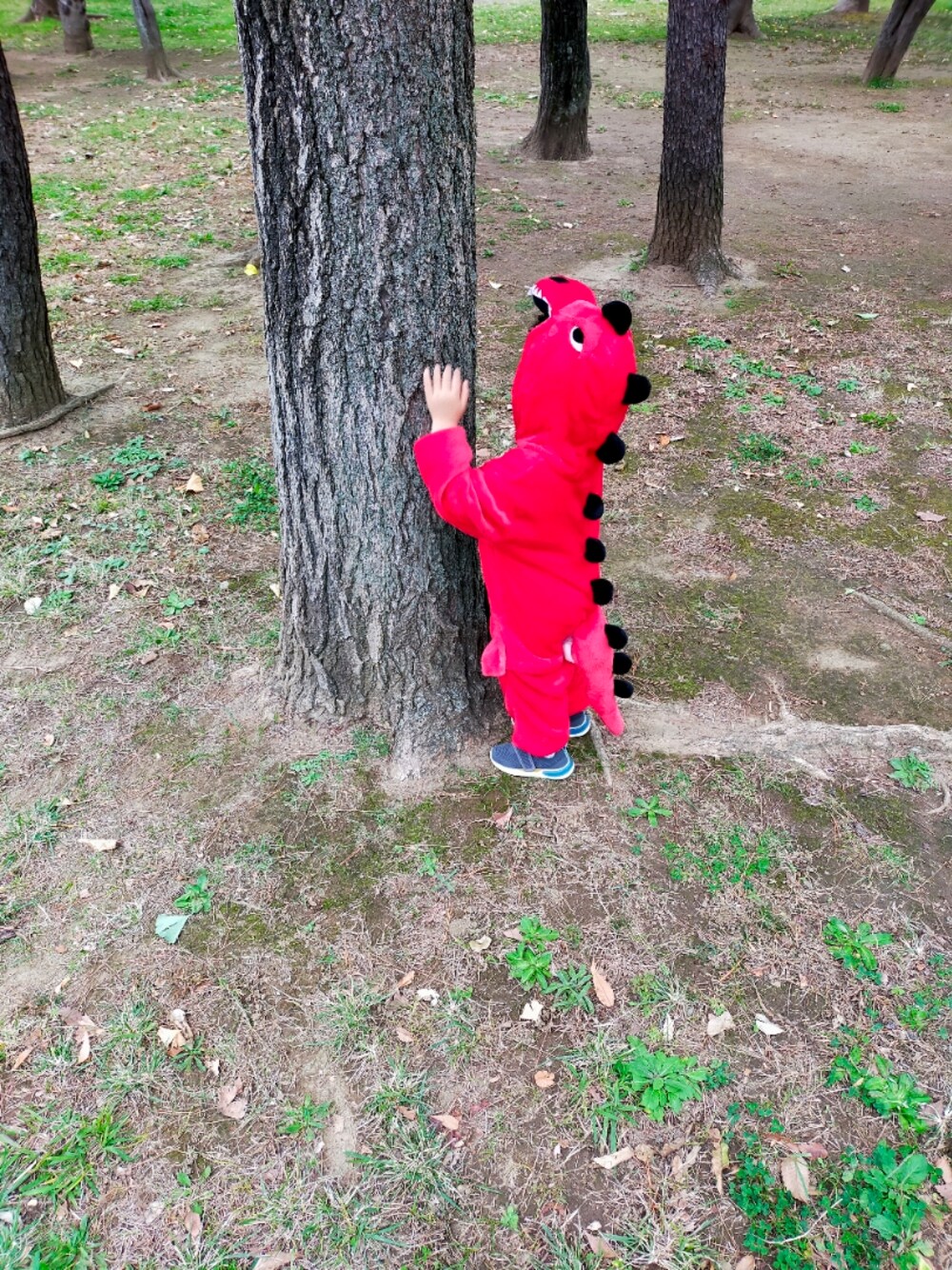 「ハロウィン、ハロウィンコーデ、恐竜、おとこのこ、2歳」｜「？のアイテム（オールインワン・サロペット、レッド系）」を使った、jotaさん（キッズ・90cm）の冬コーディネートの1枚目の写真