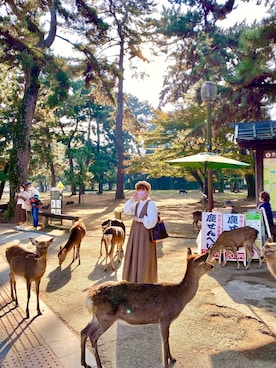 「BEAMS（ビームス）のアイテム（ハンチング/ベレー帽）」を使った、peiさんさん（レディース・164cm）の秋コーディネート