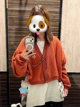 いぬのさんのコーディネート