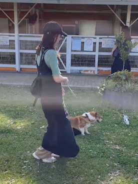 いぬのさんのコーディネート