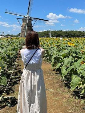 「ひまわり畑」｜「アイテム（ジャンパースカート）」を使った、いぬのさん（レディース・157cm）の夏コーディネート