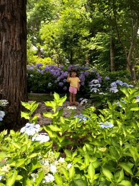 mapoさんのコーディネート