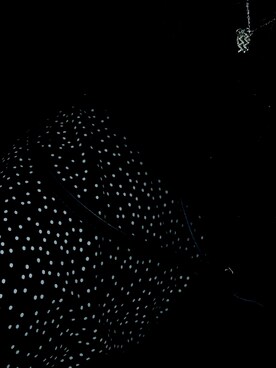 お春さんのコーディネート