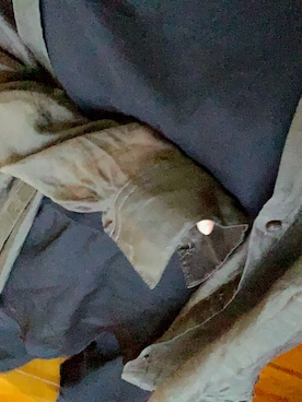 お春さんのコーディネート