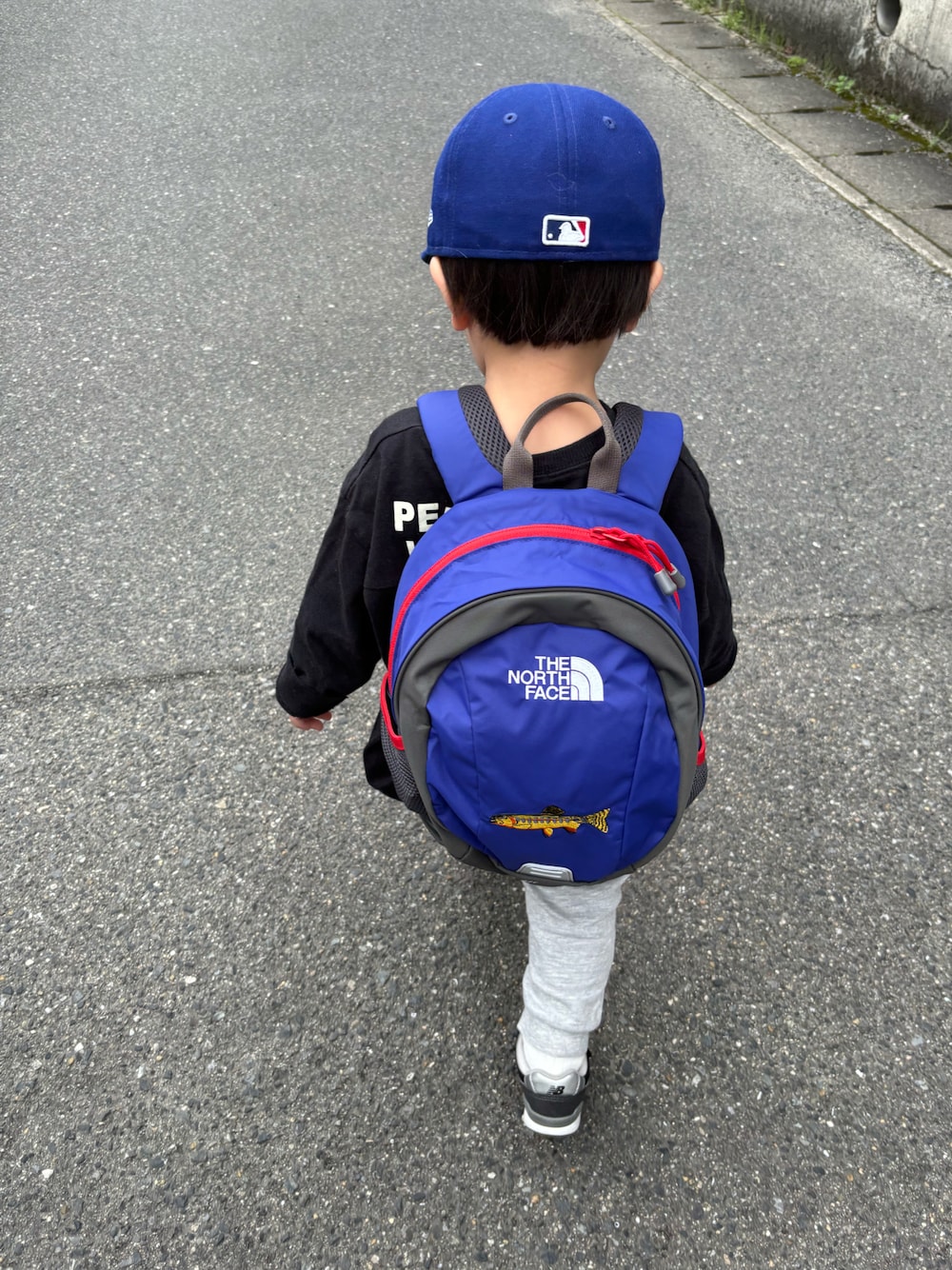 THE NORTH FACE（ザノースフェイス）の「THE NORTH FACE/ザ
