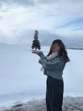 「Honeys（ハニーズ）のアイテム」を使った、purinass2さん（レディース・164cm）の春コーディネート