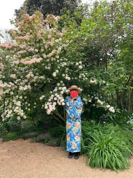 「アイテム（着物）」を使った、vivikoさん（レディース・163cm）の春コーディネート
