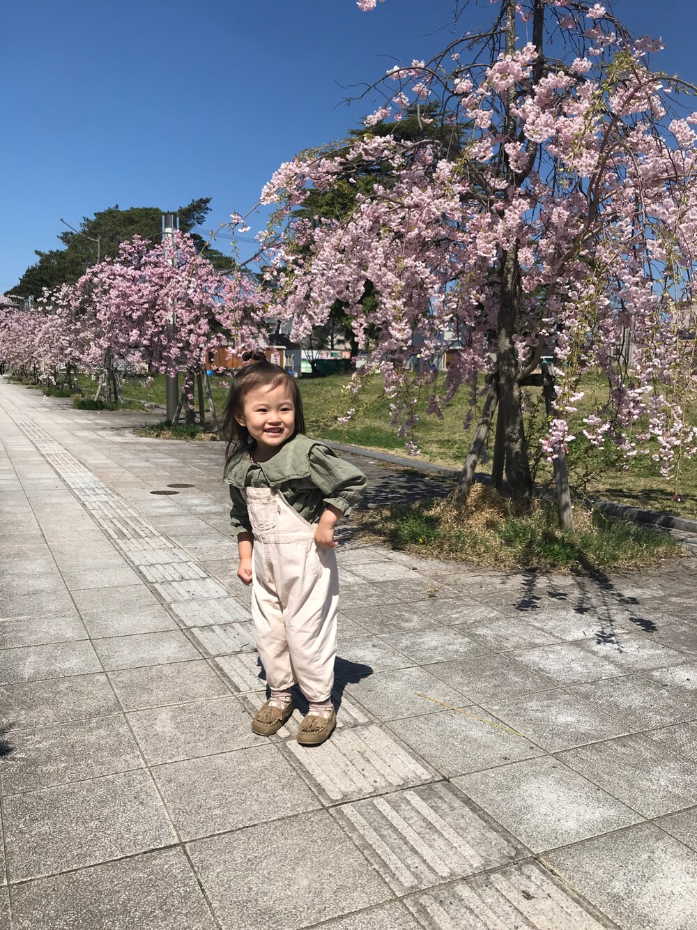 「キッズファッション、おんなのこ、サロペット、春コーデ、100cm、3歳、シャツコーデ」｜「Birthdayのアイテム（サロペット/オーバーオール、ホワイト系）」を使った、miipuuさん（キッズ・100cm）の春コーディネートの1枚目の写真