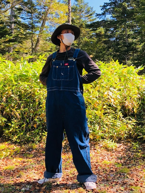 Dickiesオーバーオール　2点 db100-pointn.jpg