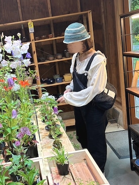 あおさんのコーディネート