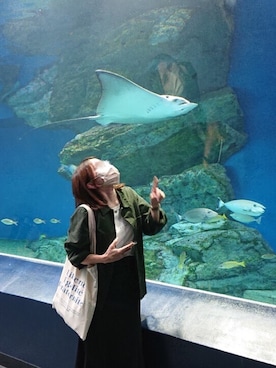 ちゃみんさんのコーディネート