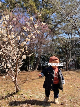 「ARCH & LINE（アーチアンドライン）のアイテム（デニムジャケット）」を使った、CHYUTAさん（キッズ・80cm）の春コーディネート