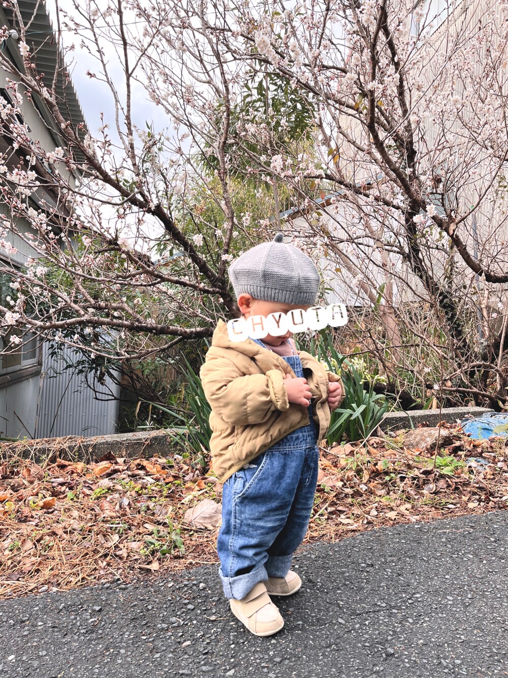 「しまむらのアイテム（ハンチング/ベレー帽、グレー系）」を使った、CHYUTAさん（キッズ・80cm）の春コーディネートの1枚目の写真