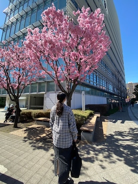 みー☺︎さんのコーディネート