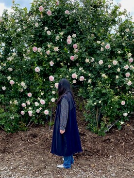 みー☺︎さんのコーディネート