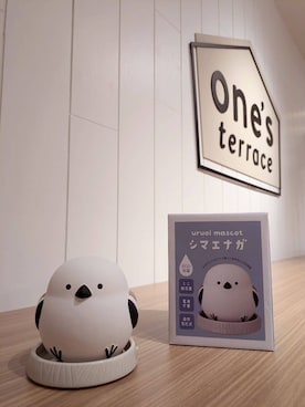 「one'sterrace（ワンズテラス）の◆潤いマスコット 加湿器 シマエナガ（インテリア雑貨、ホワイト系）」を使った、くまさん（レディース・164cm）の秋コーディネート