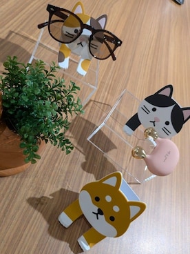 「one'sterrace（ワンズテラス）のスティッキー フックポケット ミケネコ（収納グッズ、ブラウン系）」を使った、くまさん（レディース・164cm）の秋コーディネート