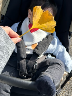 「アイテム（スタイ/よだれかけ）」を使った、Nachu.さん（キッズ・80cm）の冬コーディネート