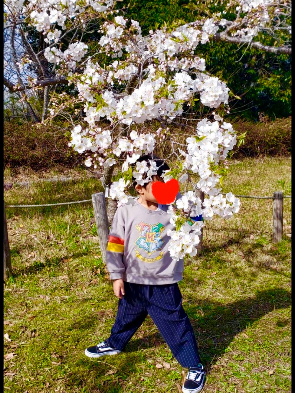 「LOWRYS FARMのＴＲワイドテーパードパンツ　965019（その他パンツ、ブラック系）」を使った、indigoblue11さん（キッズ・110cm）の春コーディネートの1枚目の写真