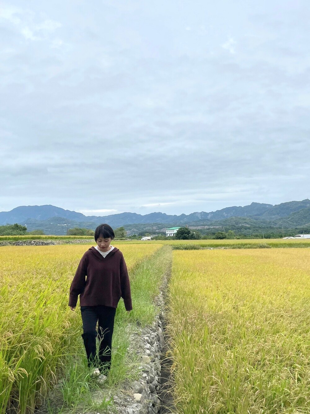 「ootd、稻田」｜「genquoのアイテム（ニット/セーター、ブラウン系）」を使った、eatさん（レディース・158cm）の夏コーディネートの1枚目の写真