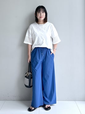 「Dessin（デッサン）の【接触冷感】メッシュレーススリーブプルオーバー（Tシャツ/カットソー、ホワイト系）」を使った、Hirokaさんの夏コーディネート