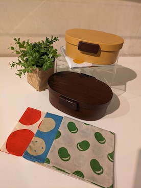 「アイテム（お弁当箱）」を使った、しましまさん（レディース・152cm）の秋コーディネート