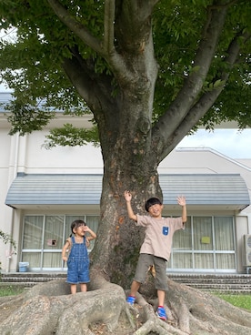 「babyGAP（babyGAP）のアイテム（オールインワン・サロペット）」を使った、komaさん（キッズ・120cm）の秋コーディネート