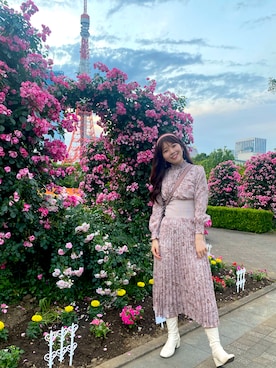 「薔薇」｜「アイテム（ワンピース/ドレス）」を使った、しおりさん（レディース・163cm）の夏コーディネート