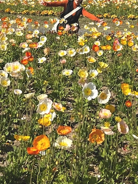 r4t10bnさん（レディース・154cm）の夏コーディネート