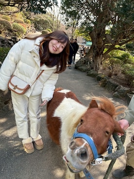 「Ada.（エイダ）のアイテム」を使った、りぽさん（レディース・164cm）の冬コーディネート