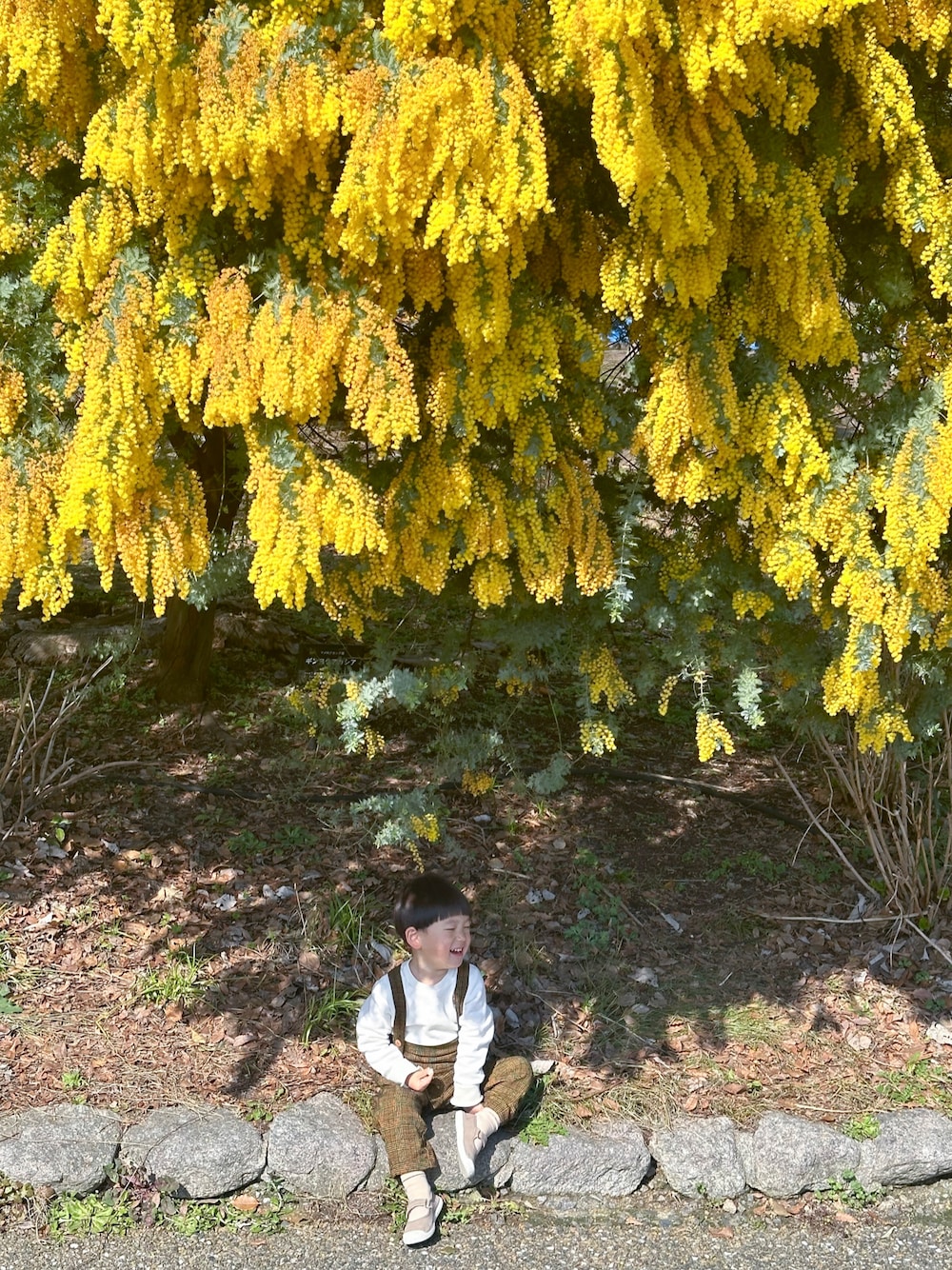 「春のおしゃ見えテクニック、男の子コーデ、息子コーデ、海外子供服、休日スタイル、春ファッション、春服、お出かけコーデ」｜「LOIRのアイテム（スウェット、ホワイト系）」を使った、まいさん（レディース・164cm）の春コーディネートの1枚目の写真