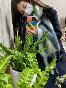 「JIL SANDER（ジルサンダー）のアイテム（マフラー、ブルー系）」を使った、chiigreenさん（レディース）の冬コーディネート