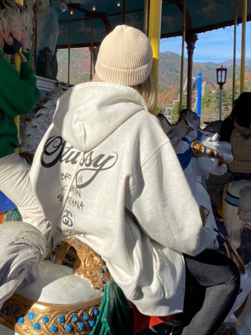 stussy ステューシー トレーナー　ワールドツアー　希少　レアカラー　古着 STUSSY スウェット XL ワールドツアー トレーナー グレー ステューシー