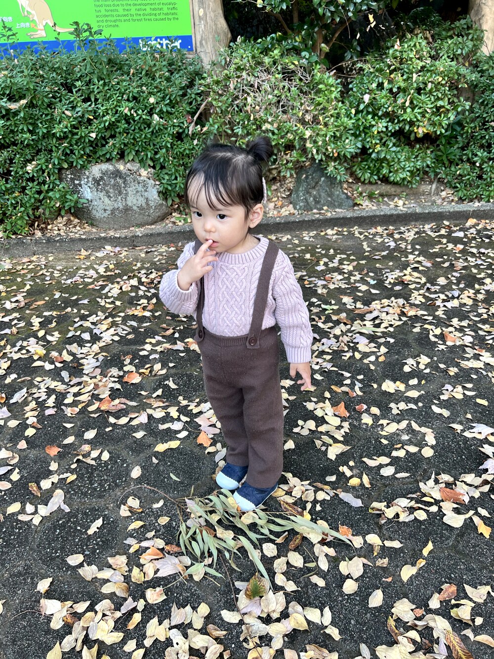 「休日スタイル、動物園コーデ、2歳半」｜「petit mainのアイテム（ニット/セーター、ピンク系）」を使った、emma  nico mamaさん（キッズ・80cm）の秋コーディネートの1枚目の写真