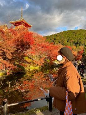 「DANTON（ダントン）のアイテム（ナイロンジャケット）」を使った、soykuuuruuuさん（レディース・163cm）の春コーディネート