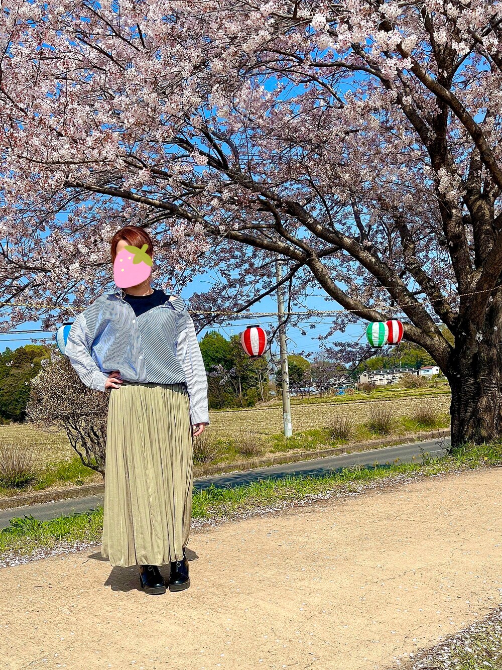「春、春コーデ、ストライプシャツ、低身長、低身長コーデ、カーキスカート」｜「Availのアイテム（シャツ/ブラウス、ブルー系）」を使った、chimuさん（レディース・149cm）の春コーディネートの1枚目の写真