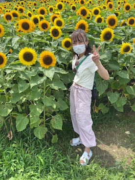 かのん【154cm 骨格ストレート】さん(レディース・155cm)の夏コーディネート