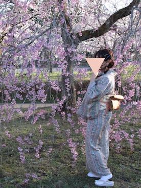 「花見」｜「アイテム（着物）」を使った、mmさん（レディース・158cm）の春コーディネート