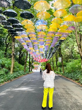 「antiqua（アンティカ）のブロックチェックシアートップス（シャツ/ブラウス、ホワイト系）」を使った、とみ。さん（レディース・158cm）の秋コーディネート