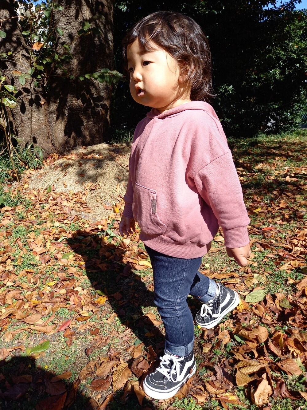 「今日のコーデ、着回しコーデ、シンプル、カジュアル、スキニーデニム、ハイカットスニーカー、スニーカー、VANS」｜「VANSのアイテム（スニーカー、ブラック系）」を使った、aoto*senaさん（キッズ・80cm）の秋コーディネートの1枚目の写真