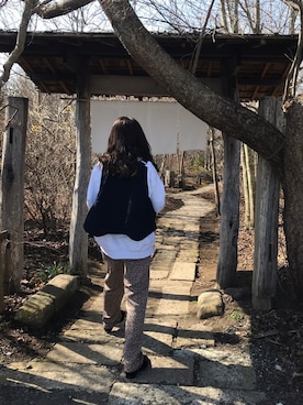 　Ⓜ️さんのコーディネート