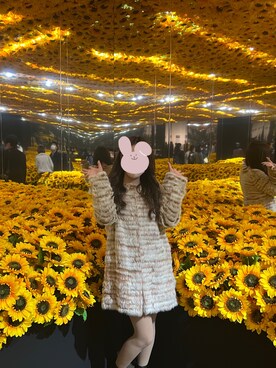 puniさんのコーディネート