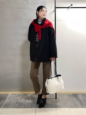 「DRESSTERIOR（ドレステリア）のアイテム」を使った、shihoさん（レディース・160cm）の冬コーディネート