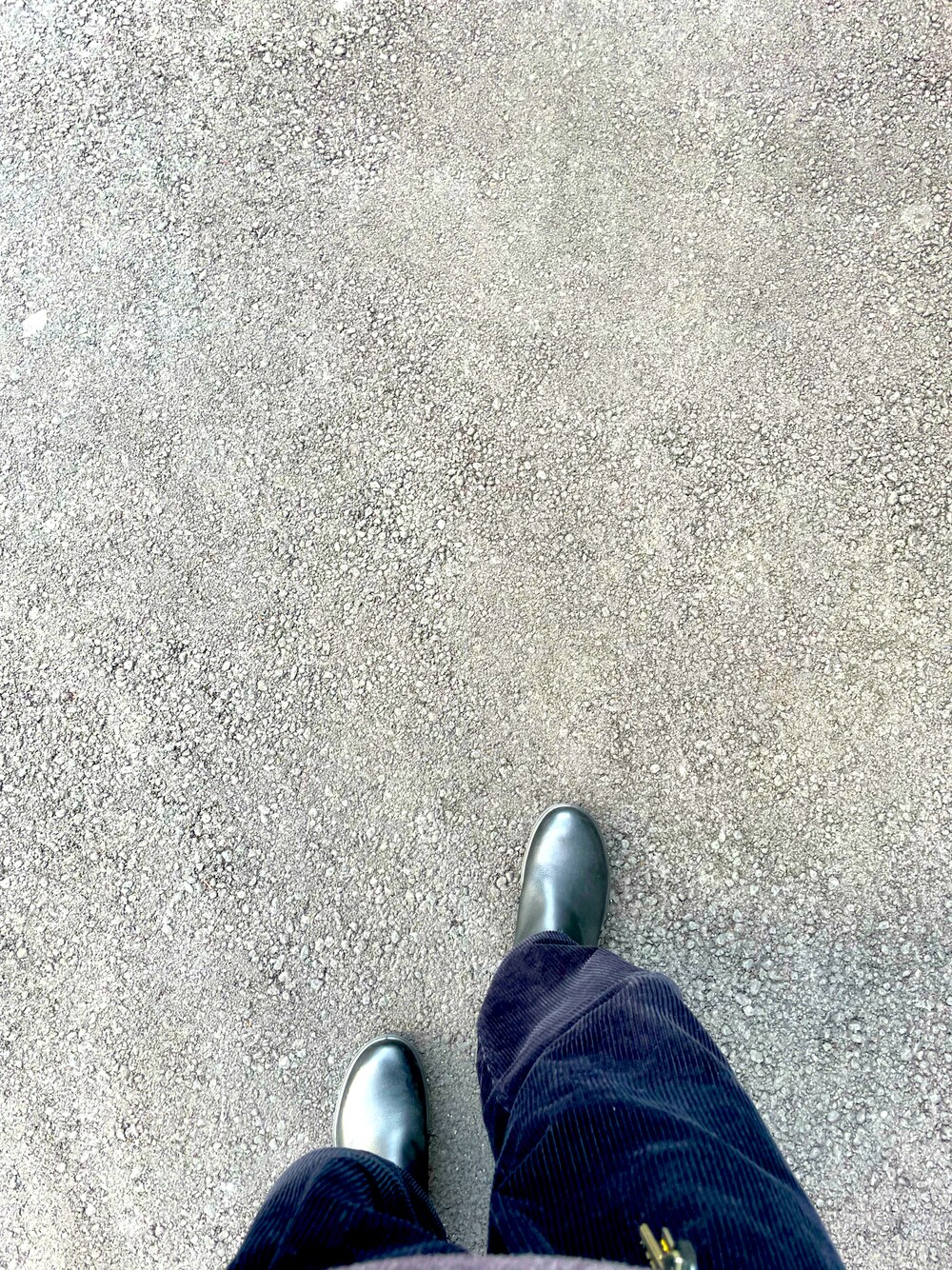 「Blundstoneのアイテム（ブーツ、ブラック系）」を使った、Siumaiさん（メンズ・175cm）の冬コーディネートの1枚目の写真