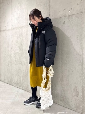 THE NORTH FACEのダウンジャケット/コートを使った「ワンピース」の