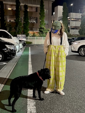 「アイテム（Tシャツ/カットソー）」を使った、savieさん（レディース・155cm・60代）の夏コーディネート